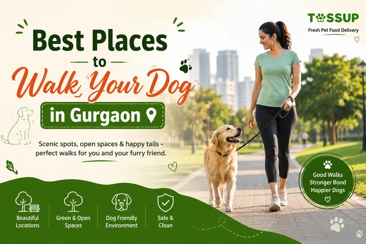 Best Places to Walk Your Dog in Gurgaon