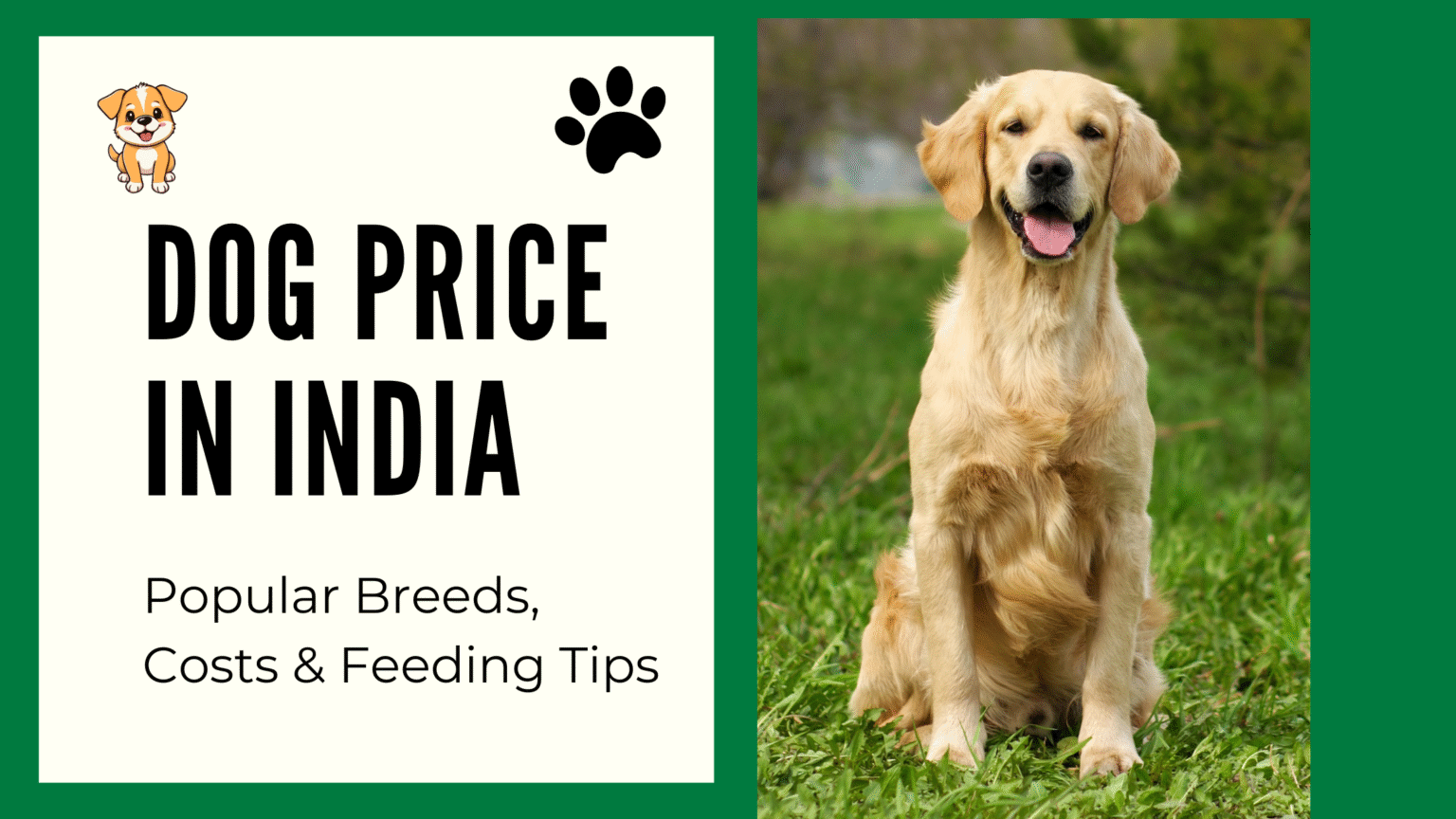 Dog Prices in India: Breeds, Costs & Feeding Tips You Should Know