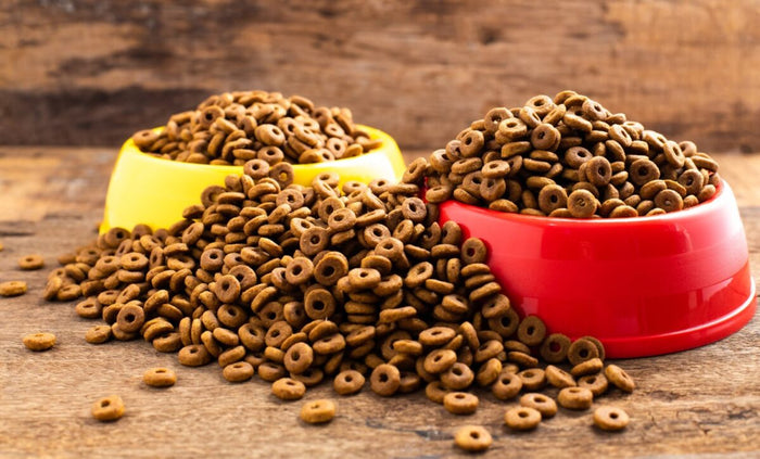 Why Fresh Food is Important for Your Pet’s Health