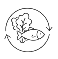 Fresh Product Everyday