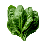Spinach