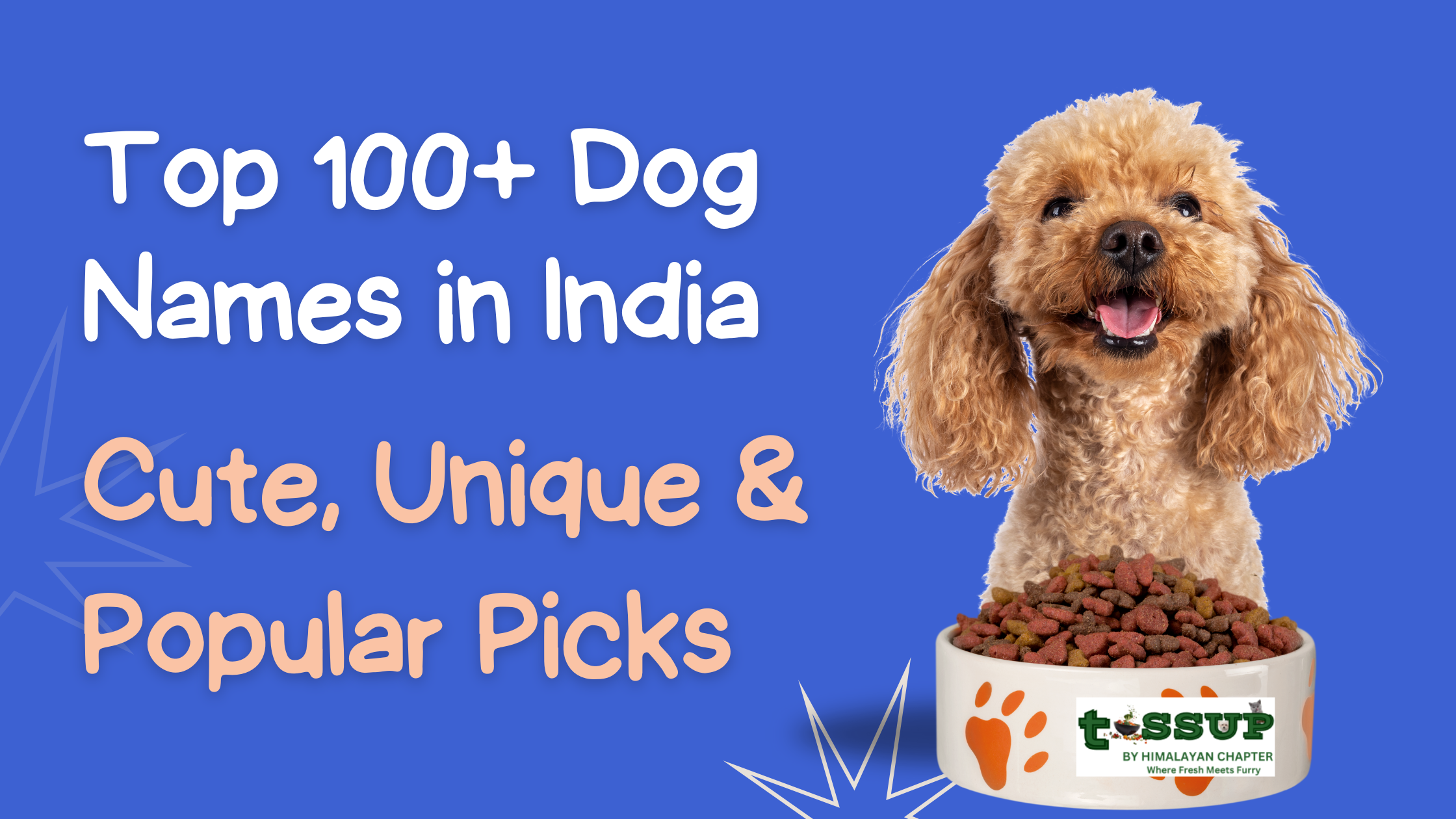 Top 100+ Dog Names in India