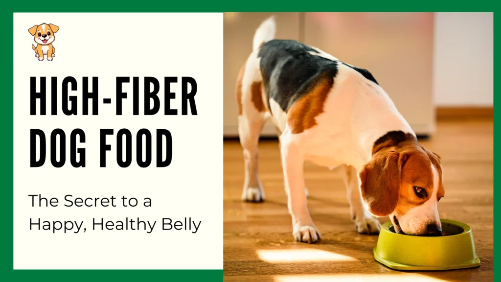 High-Fiber Dog Food