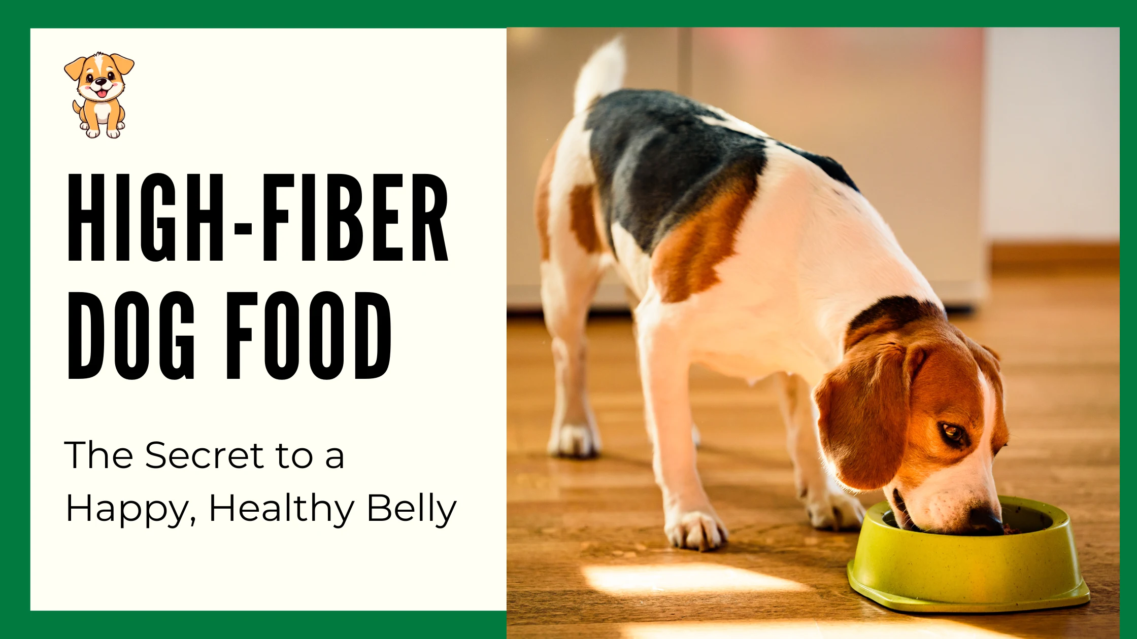 High-Fiber Dog Food